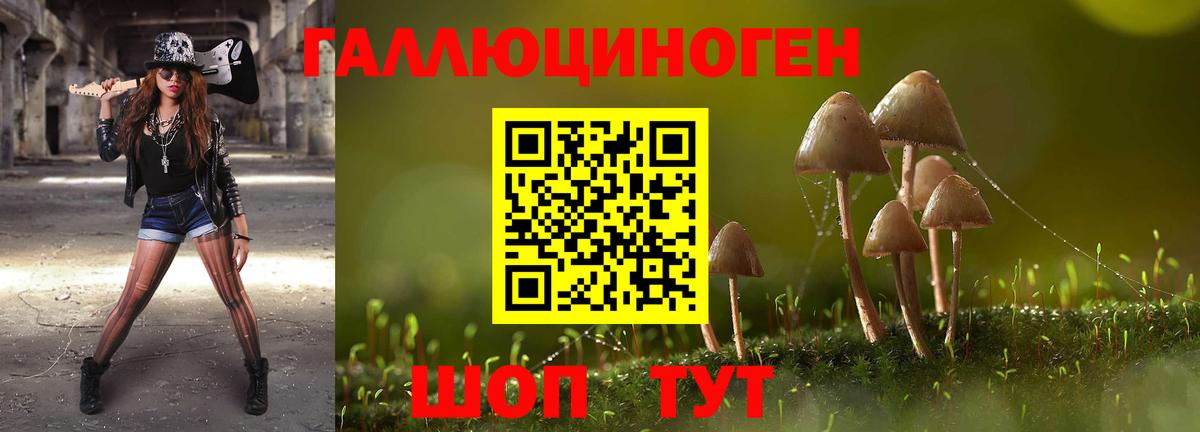 Галлюциногенные грибы Magic Shrooms Людиново